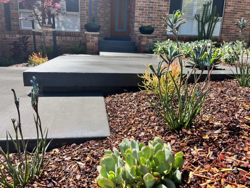 Large-format bluestone pavers stepping up through native planting and mulched beds.