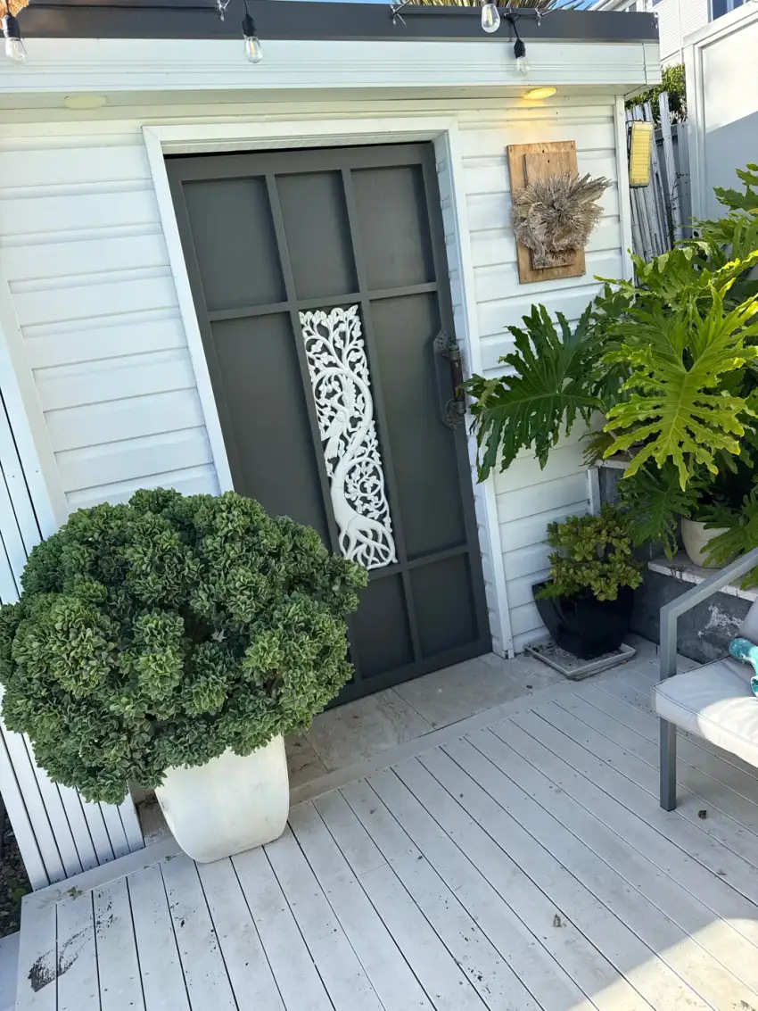 A rendered entry with a dark pivot door, tiled threshold and a clipped topiary in a large pot.